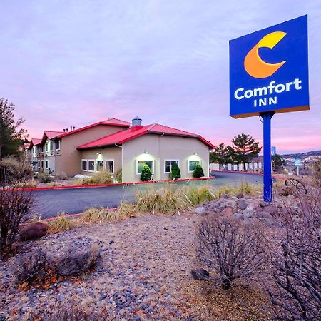 Comfort Inn Near Gila National Forest Silver City Kültér fotó